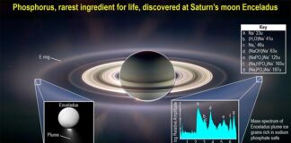 Bloque de construcción clave para la vida encontrado en la luna Encélado de Saturno: Fósforo El científico principal de SwRI, el Dr. Christopher Glein, formó parte de un equipo que encontró fósforo, un componente clave para la vida, en el océano subterráneo de la pequeña luna de Saturno, Encelado
