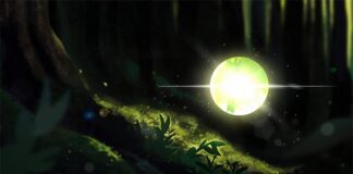 Confirmado: La fotosíntesis comienza con un solo fotón Fotosíntesis, una visión artística