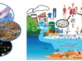 Un estudio muestra cómo los microplásticos se quedan en las vías respiratorias humanas Contaminación por microplásticos e impactos en la salud