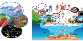 Un estudio muestra cómo los microplásticos se quedan en las vías respiratorias humanas Contaminación por microplásticos e impactos en la salud