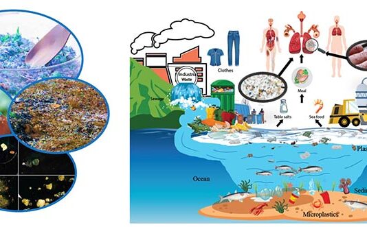 Un estudio muestra cómo los microplásticos se quedan en las vías respiratorias humanas Contaminación por microplásticos e impactos en la salud