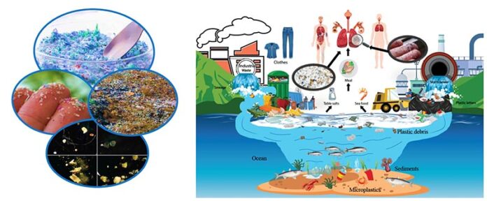 Contaminación por microplásticos e impactos en la salud