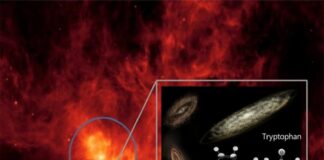 Evidencia del aminoácido esencial triptófano encontrada en el espacio Evidencia del aminoácido esencial triptófano encontrado en el espacio