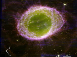 El Telescopio James Webb explora la estructura de la Nebulosa del Anillo Imagen de la Nebulosa del Anillo tomada con el instrumento NIRCam de James Webb