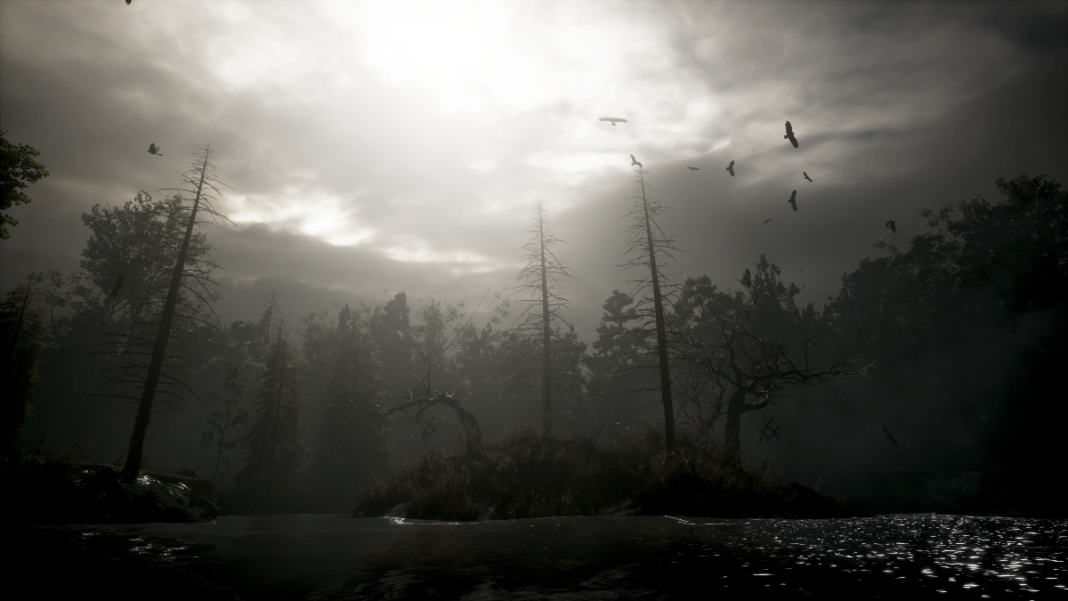 nuevo blog stray souls con toda su historia