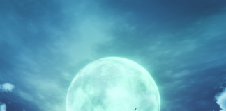 La demo de FF VII REBIRTH se actualiza con más contenido FINAL FANTASY VII REBIRTH