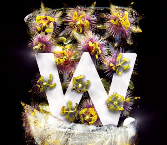 «W.», de Steve Sem-Sandberg