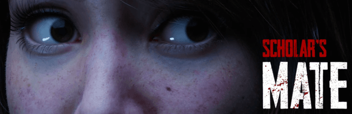 Wide_Banner_1536x496-7