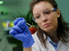 Cómo la biotecnología y la genética están cambiando el mundo