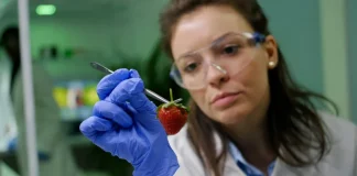 Cómo la biotecnología y la genética están cambiando el mundo