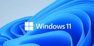 Windows 11 ya es el sistema preferido por los jugadores de Steam Windows 11 ya es el sistema