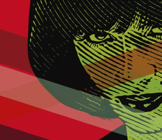 Lágrimas de cocodrilo, de Mercedes Rosende