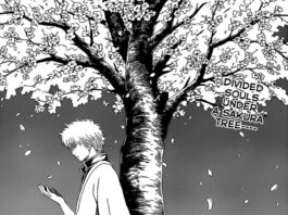 Reseña sobre el tomo 3 de Gintama