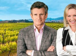 Under the Vines, temporada 1: Dos urbanitas heredan un viñedo y se meten en nuestro corazón