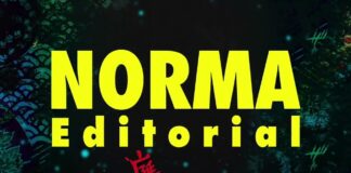 Novedades Norma Editorial enero 2025 norma editorial
