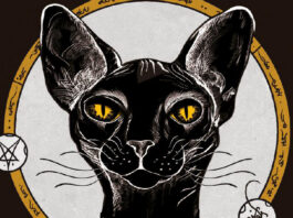 «Asesino de brujas: los hijos del rey»: traumas sazonados y comunicaciones rotas Portada de "Asesino de brujas: Los hijos del rey" de Shelby Mahurin, publicada por Puck.