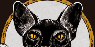 «Asesino de brujas: los hijos del rey»: traumas sazonados y comunicaciones rotas Portada de "Asesino de brujas: Los hijos del rey" de Shelby Mahurin, publicada por Puck.