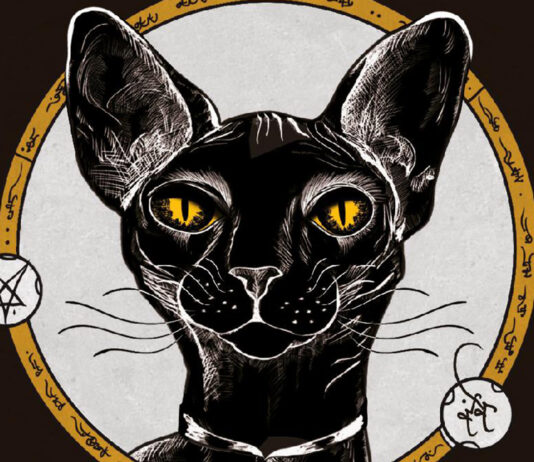 «Asesino de brujas: los hijos del rey»: traumas sazonados y comunicaciones rotas Portada de "Asesino de brujas: Los hijos del rey" de Shelby Mahurin, publicada por Puck.