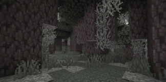 Llega un nuevo bioma a Minecraft esta semana. Llega un nuevo bioma a Minecraft