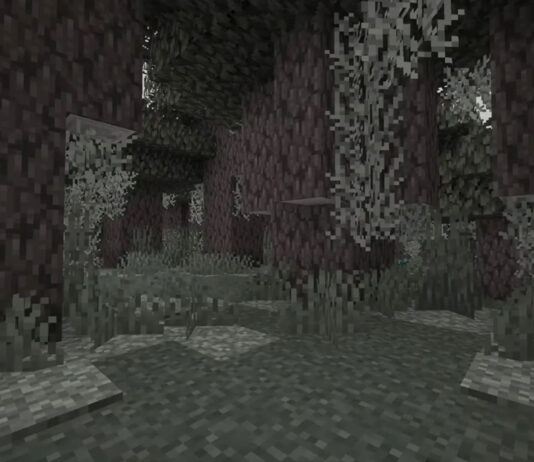 Llega un nuevo bioma a Minecraft esta semana. Llega un nuevo bioma a Minecraft