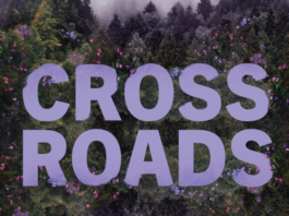 «Cross Roads», yo para ser feliz quiero un cowboy Portada de "CrossRoads" de Devney Perry, publicada por Lit RBA