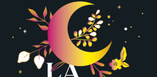 Reseña de «La princesa encantada» (Serie Everfall I) de Mona Kasten Portada de "La princesa encantada" de Mona Kasten.