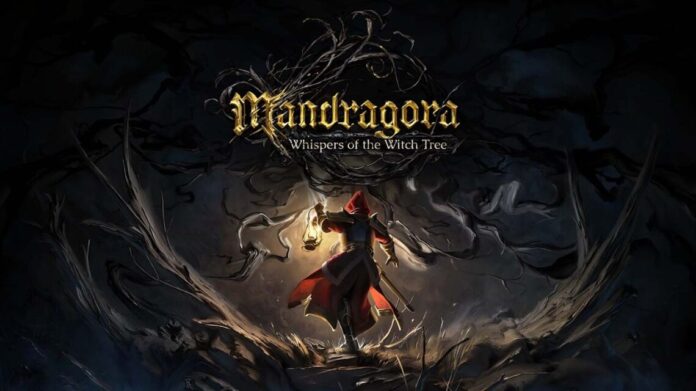 Mandragora