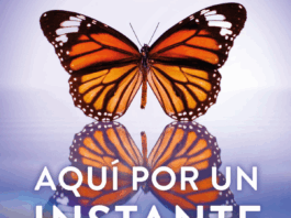 «Aquí por un instante» ¿se puede cambiar el destino? Portada de Aquí por un instante de Lianne Moriarty editada por RBA | Fuente: RBAlibros