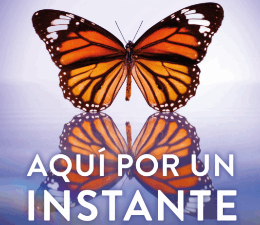 «Aquí por un instante» ¿se puede cambiar el destino? Portada de Aquí por un instante de Lianne Moriarty editada por RBA | Fuente: RBAlibros