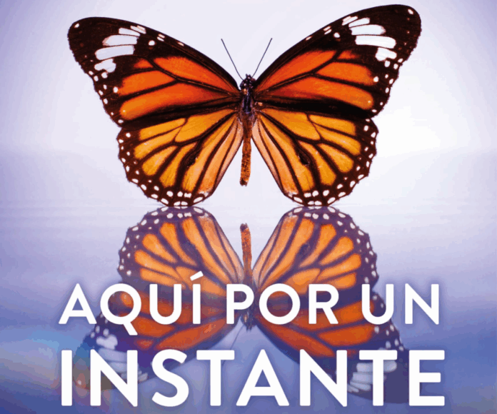 aqui por un instante_destacada Portada de Aquí por un instante de Lianne Moriarty editada por RBA | Fuente: RBAlibros