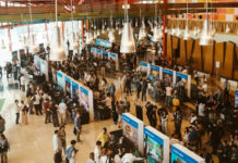 El lado B del desarrollo de videojuegos indie: Mi experiencia con Frostfire Desarrollo Indie - portada