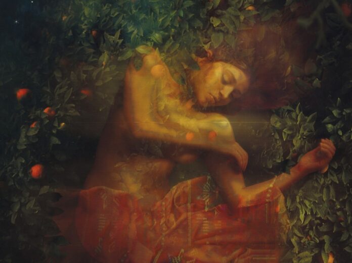 Portada de "Soñarán en el jardín" de Gabriela Damián Miravete