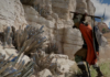 Crimson Desert