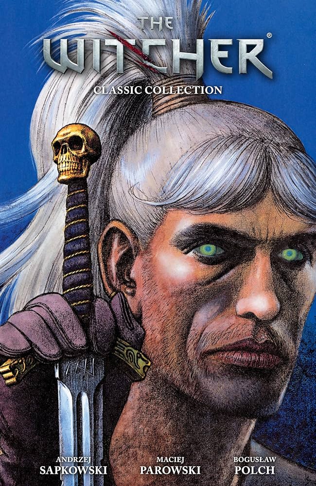 The Witcher The Witcher
