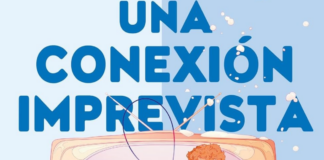 «Una conexión imprevista»: un romance slow burn irresistible Portada de "Una conexión imprevista" de B.K. Borison. | Fuente: Editorial Titania.